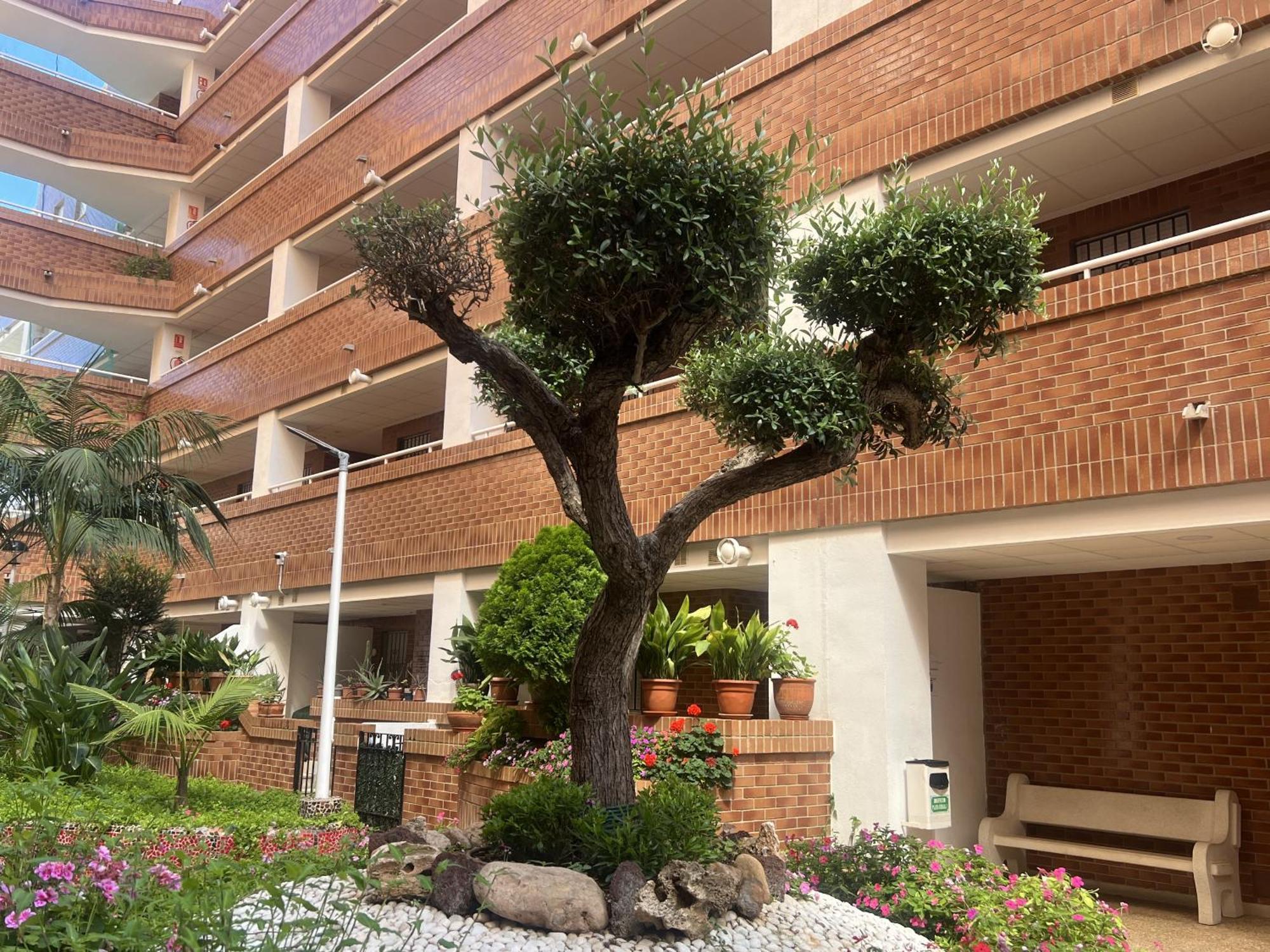 Apartamentos Marina Park Oropesa del Mar Extérieur photo